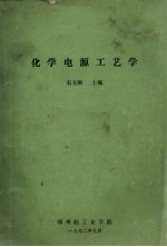 化学电源工艺学