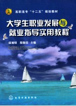 大学生职业发展与就业指导实用教程