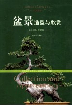 中国现代盆景造型与欣赏