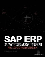 SAP ERP系统在电网建设中的应用 探索大型项目的信息化管理技术