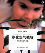 净化空气植物