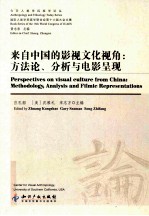 来自中国的影视文化视角 方法论、分析与电影呈现