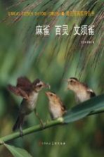 禽鸟写真实用丛书 麻雀 百灵 文须雀