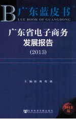 广东省电子商务发展报告 2013 2013版