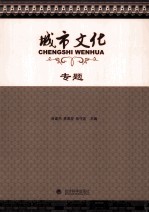 城市文化专题