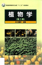 植物学 第2版