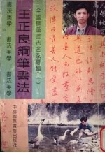 王正良钢笔书法