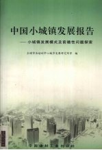 中国小城镇发展报告 小城镇发展模式及前瞻性问题探索