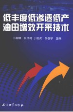 低丰度低渗透低产油田增效开采技术