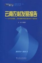 2008-2009云南农村发展报告 以农业增效、农民增收来稳定基本农产品供给
