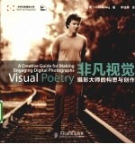 非凡视觉 摄影大师的构思与创作