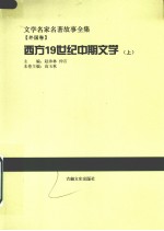 西方19世纪中期文学 上