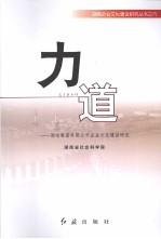 力道 湘电集团有限公司企业文化建设研究