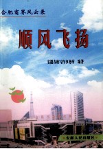 顺风飞扬