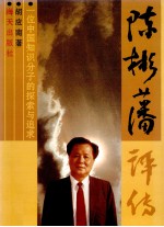 陈彬藩评传 一位中国知识分子的探索与追求