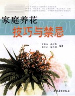 家庭养花技巧与禁忌