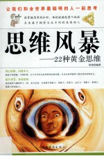 思维风暴 22种黄金思维