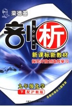 荣德基剖析新课标新教材 探究开放创造性学习:沪科版 九年级化学 下