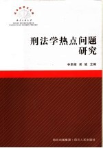 刑法学热点问题研究