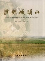 澧县城头山 新石器时代遗址发掘报告 中