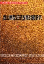 凉山彝族经济发展战略研究