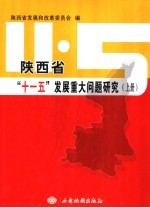 陕西省“十一五”发展重大问题研究 上