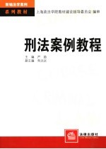 刑法案例教程