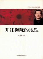 开往梅陇的地铁