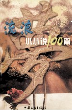 流浪小小说100篇 梦