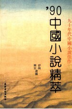 '90中国小说精萃