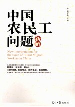 中国农民工问题新解