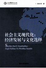 社会主义现代化 经济发展与文化选择