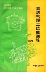 高级气焊工技能训练 试用