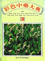 临床实用彩色中药大典 3