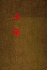 少年
