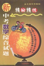 新中考数学综合试题精解精练