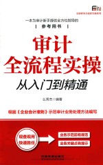 安斯财务全流程实操系列 审计全流程实操从入门到精通