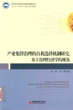产业集群治理自我选择机制研究 基于治理经济学的视角