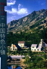 新楼盘 95 中国小镇