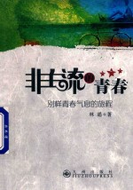 非主流的青春 别样青春气息的旅程