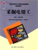 采掘电钳工 技师 高级技师 修订本