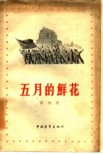 五月的鲜花