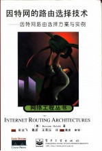 因特网的路由选择技术 因特网路由选择方案与实例