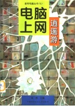 电脑上网逍遥游
