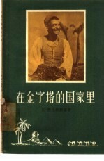 在金字塔的国家里