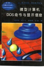 微型计算机DOS命令和显示信息