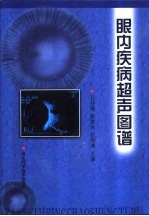 眼内疾病超声图谱