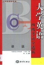 大学英语新视角 四级考试全透析·语法