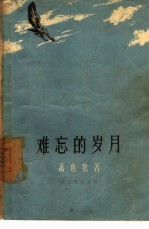 难忘的岁月