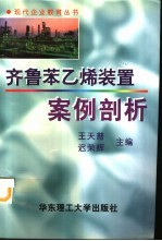 齐鲁苯乙烯装置案例剖析